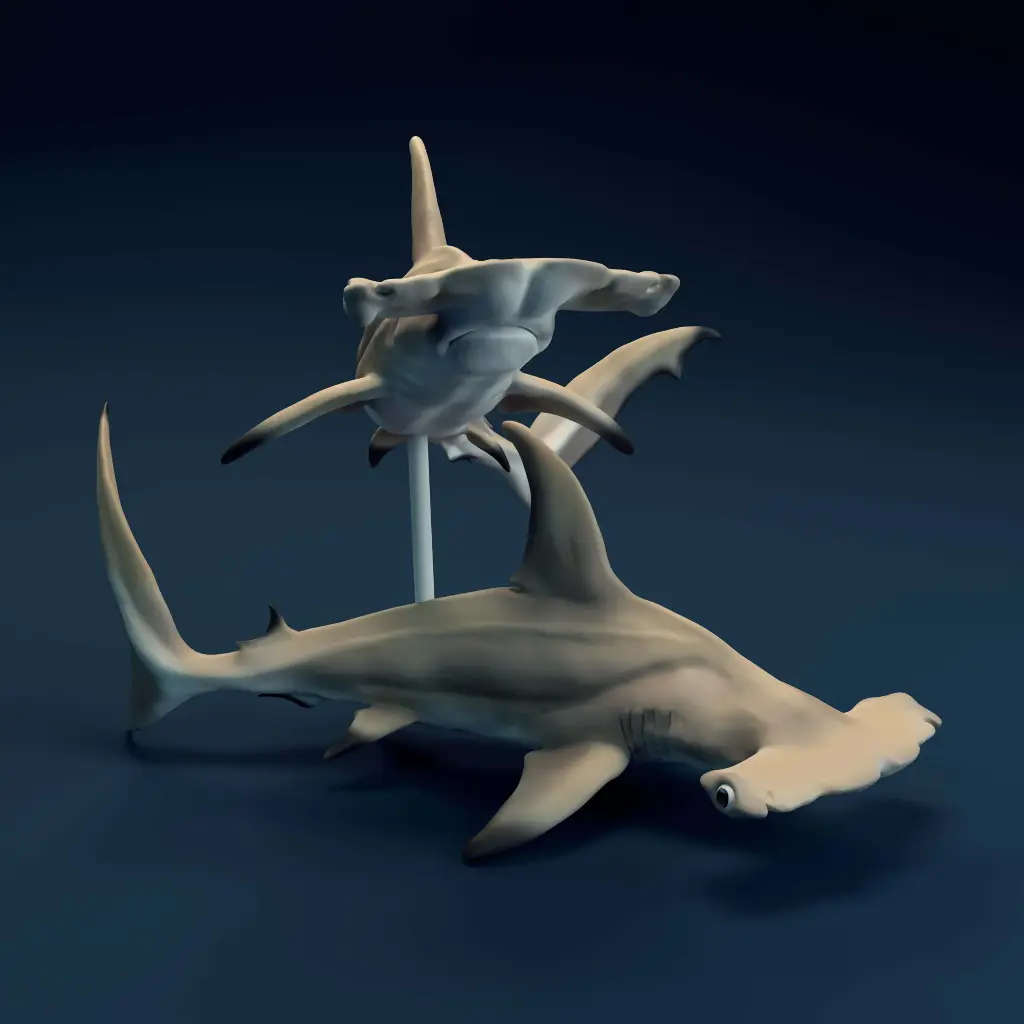 🦈✨ Escultura de Tiburón Martillo de Galápagos 🌊🏝️