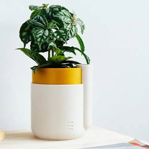 🌱✨ Maceta Autorriego: Comodidad y Estilo para tus Plantas 🌟
