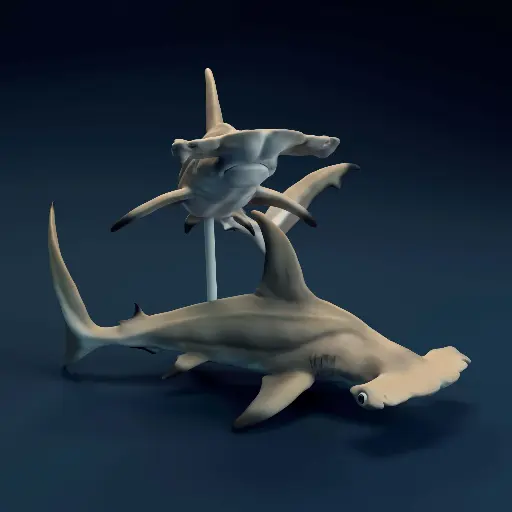 🦈✨ Escultura de Tiburón Martillo de Galápagos 🌊🏝️