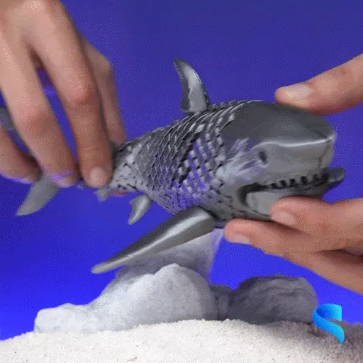 🦈🔗 Tiburón de Galápagos Flexible 🌊✨